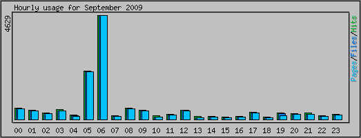 Hourly usage