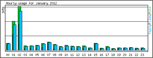 Hourly usage