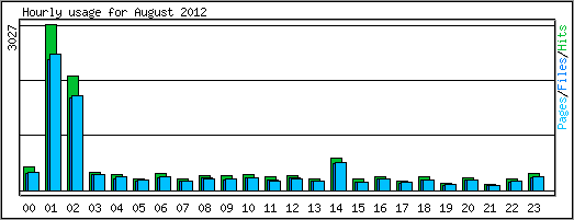 Hourly usage