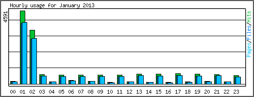 Hourly usage