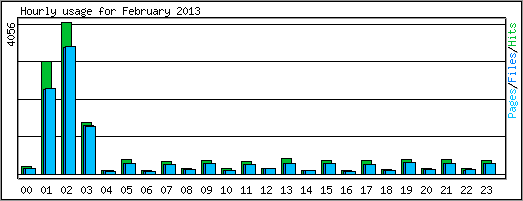 Hourly usage