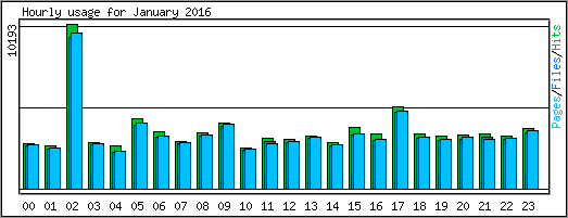 Hourly usage