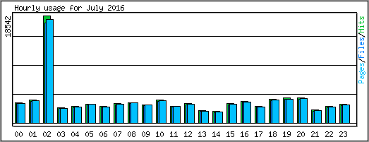 Hourly usage