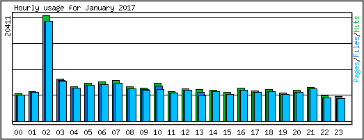 Hourly usage