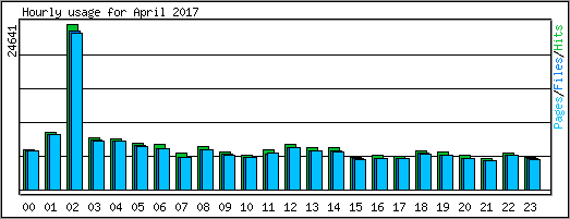 Hourly usage