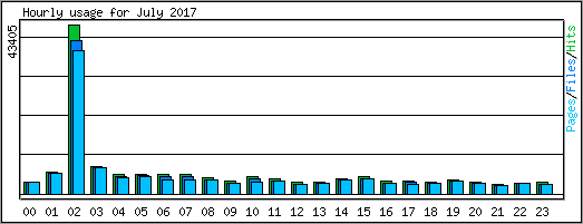 Hourly usage