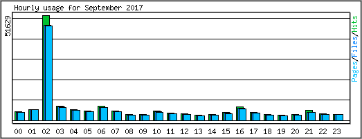 Hourly usage