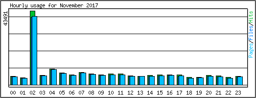 Hourly usage