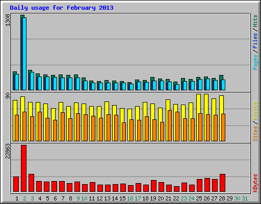 Daily usage for February 2013