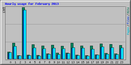 Hourly usage for February 2013