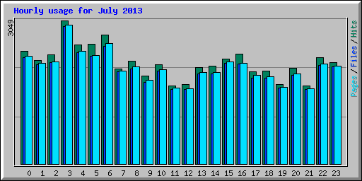 Hourly usage for July 2013