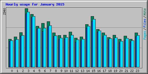 Hourly usage for January 2015