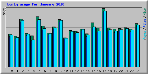 Hourly usage for January 2016