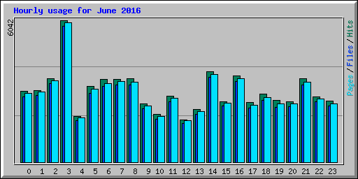 Hourly usage for June 2016