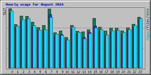 Hourly usage for August 2016