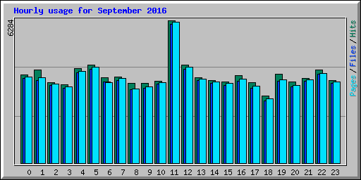 Hourly usage for September 2016