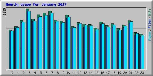 Hourly usage for January 2017
