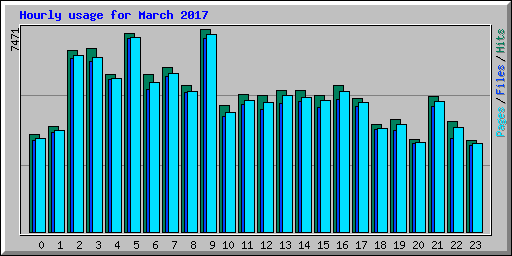 Hourly usage for March 2017