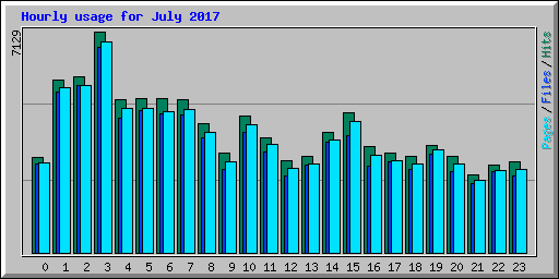 Hourly usage for July 2017
