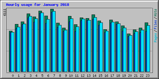 Hourly usage for January 2018